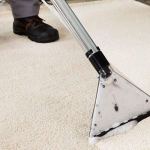 The Art of Carpet Cleaning
