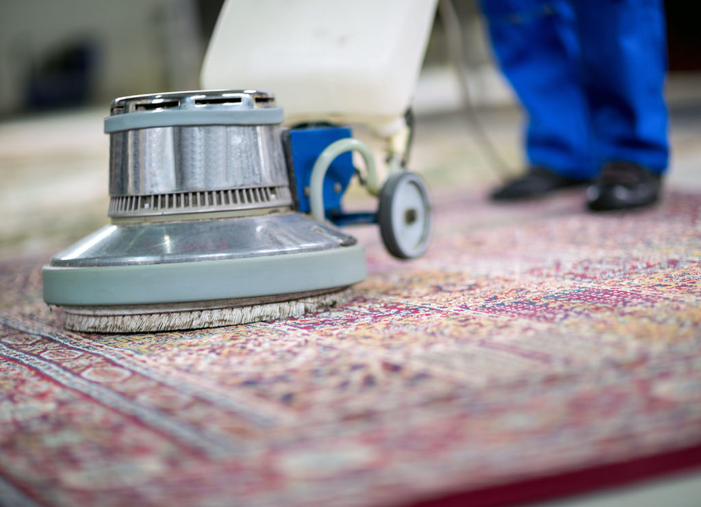 bonnet carpet cleaning