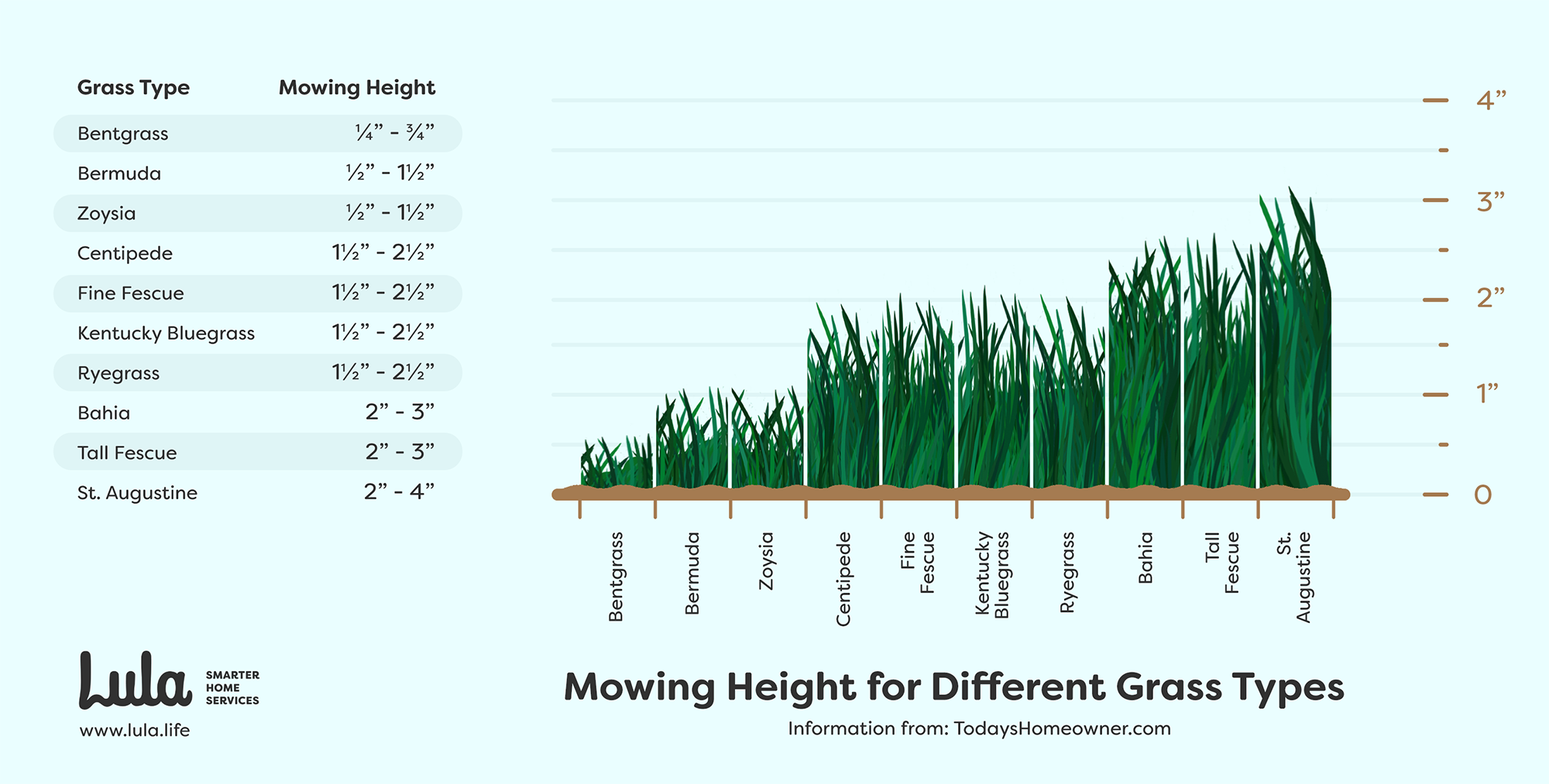 mowing height for different types of grasses