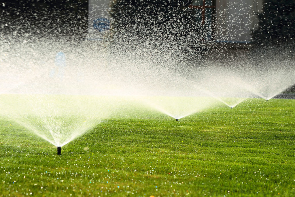 garden sprinkler on a sunny summer day watering the green lawn