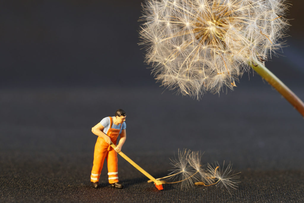 toy sweeping up dandelions