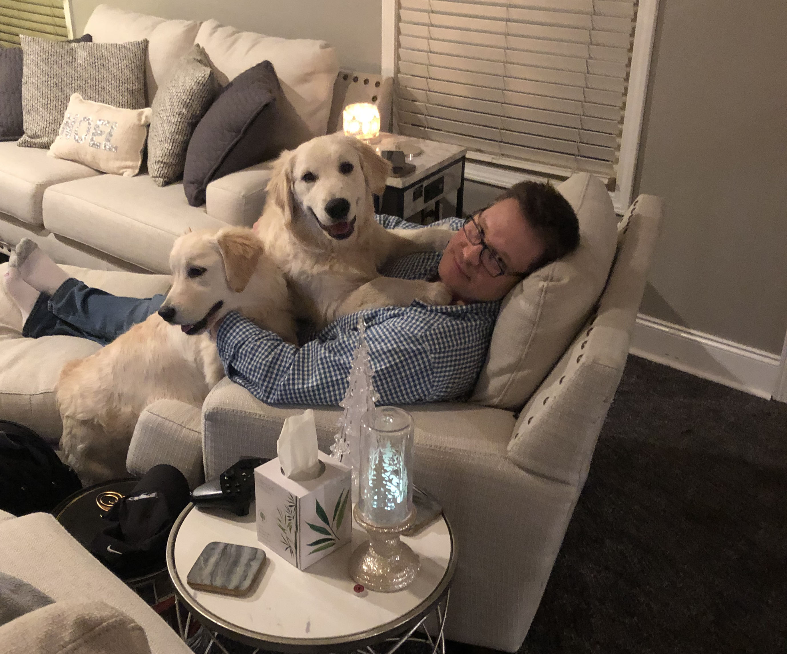 man with two golden retrievers on top of him