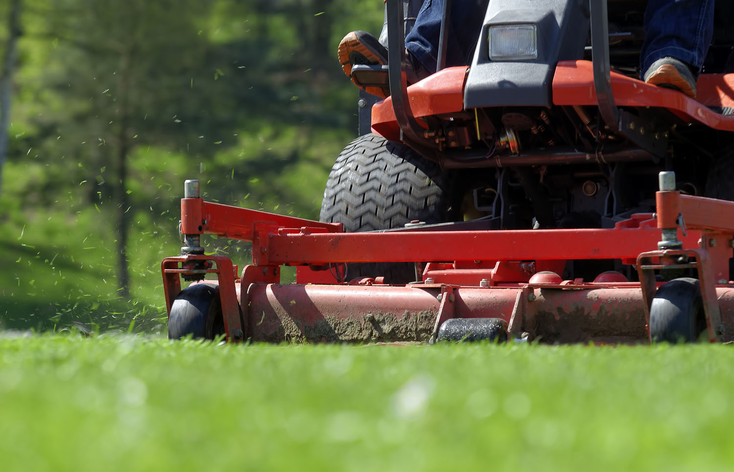 lawn mower cutting grass