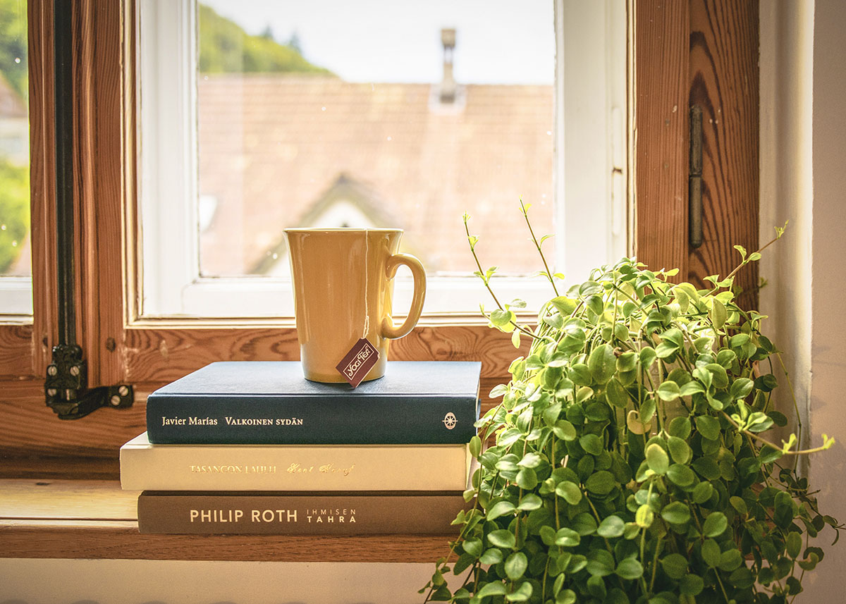 house plant next to a stack of books