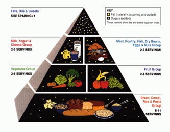 USDA food pyramid